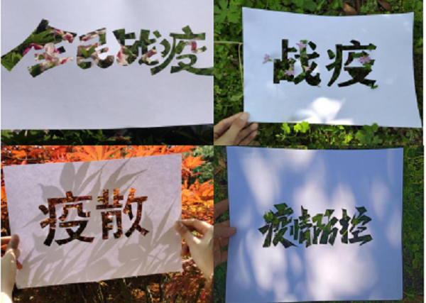 信息系黨總支結(jié)合專(zhuān)業(yè)特點(diǎn)開(kāi)展疫情防控志愿服務(wù)活動(dòng)